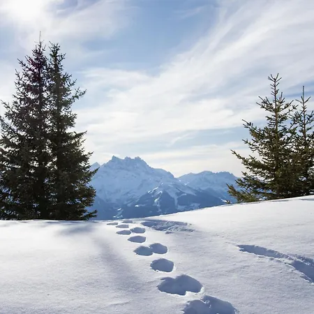 Daire 20 By Interhome Villars-sur-Ollon