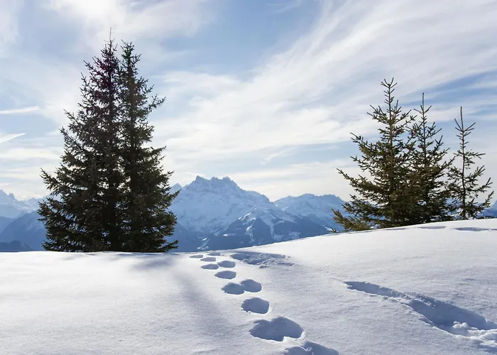 Daire 20 By Interhome Villars-sur-Ollon