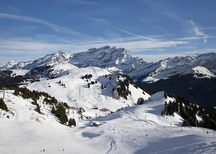 Daire 20 By Interhome Villars-sur-Ollon